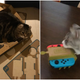 Illustration for article titled Cats Vs. Nintendo Labo
